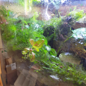 Publication de alver79110