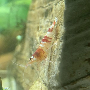 Publication de Alex69