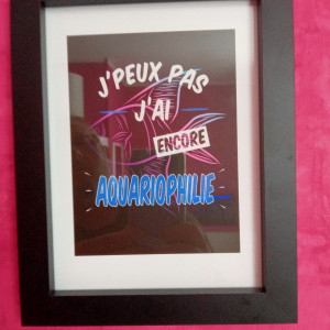 Publication de kali29