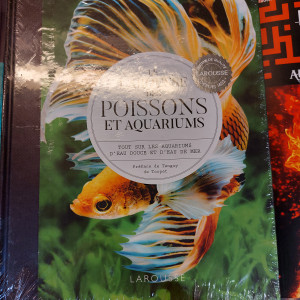 Publication de Expert