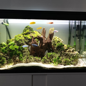 Malawi 250L