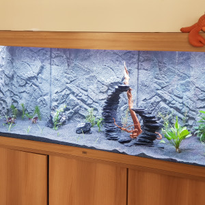 aquarium 3