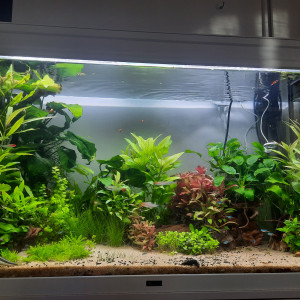 240 litres