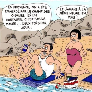 Publication de Fljagd