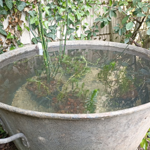 Bassine 80 L