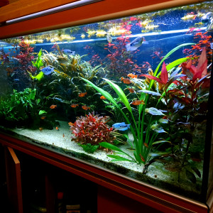300 L