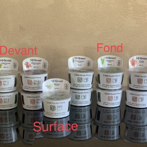 Publication de AntonyM