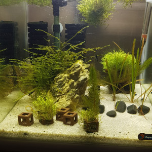 Nano 30 l