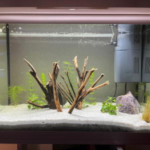 Aqua 70L
