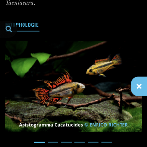 Publication de Omez78