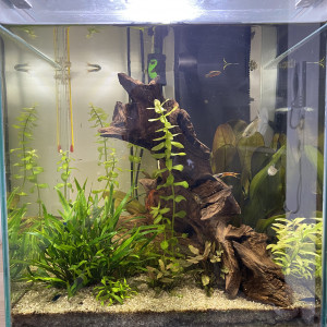 Aquarium Nano