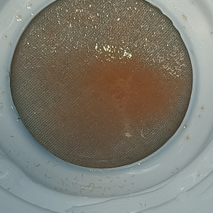 Publication de Ephyny