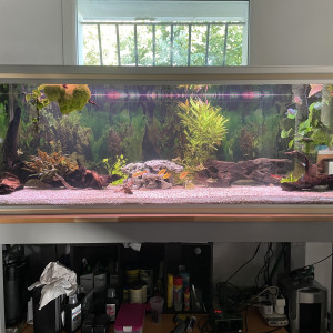600L