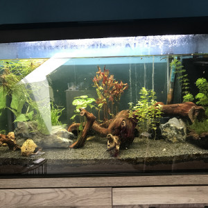 105l