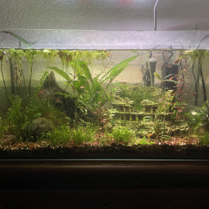 60L communautaire