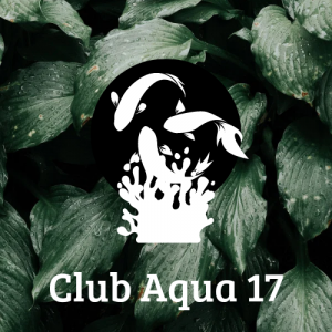 club aquariophilie Aqua 17