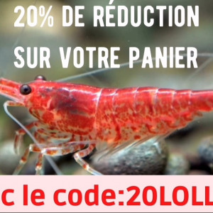 Publication de Anthony55300