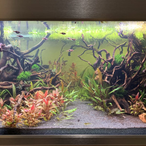 Eheim Proxima 250