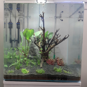 90l amérique du sud