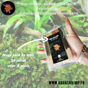 Publication de Anthony55300