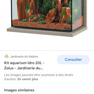 Publication de Nozo