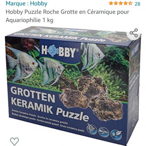 Publication de RUITUX