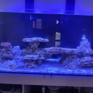 Waterbox