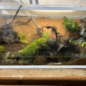PALUDARIUM