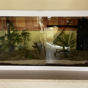 Ciano 60L - En Conditionnement