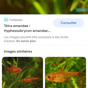Publication de Cm79148