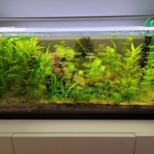Publication de Fred40