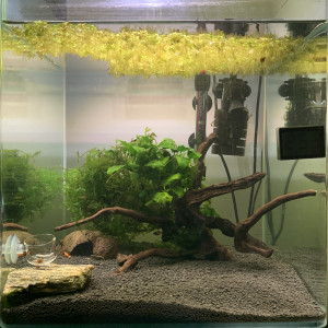 Nano Aquarium 60
