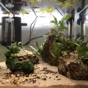 Aqua 33L