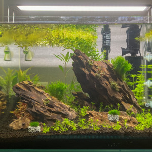 Denerle 70L
