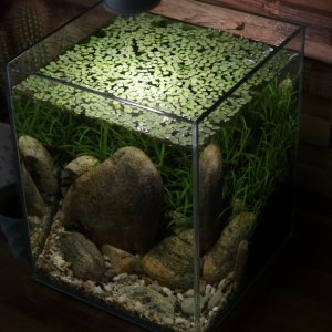 10 Low tech