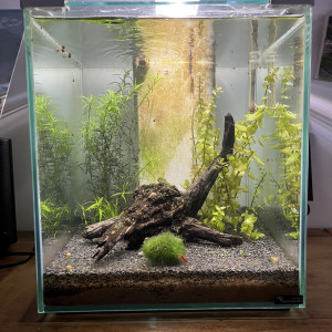 Nano 40L