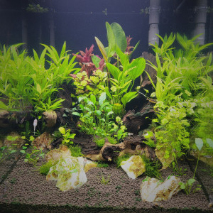 Aqua Tower 163 Pro