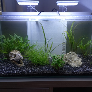 Aqua 60l maison