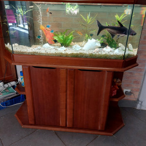 Donne Aquarium