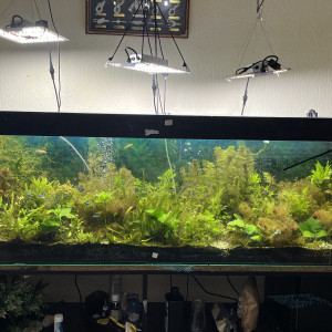 Publication de Aqua63ppm