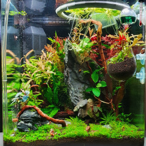 30L Dennerle