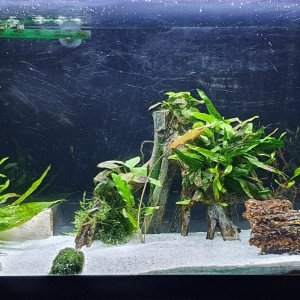 120L