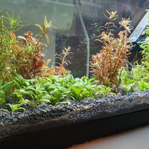 80L