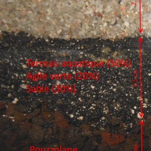 Publication de Anhtu