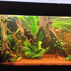 400l