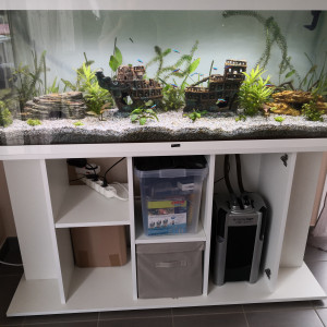 Aquarium 1