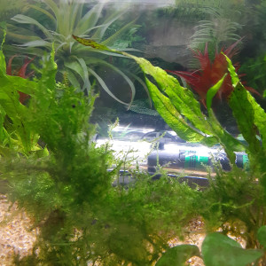 Publication de Adeline31