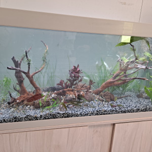 240 litres asso anne philipe