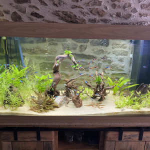 Bac communautaire 350 L