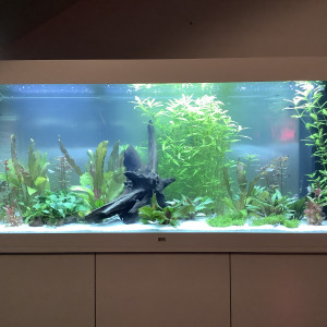 Publication de Alban08